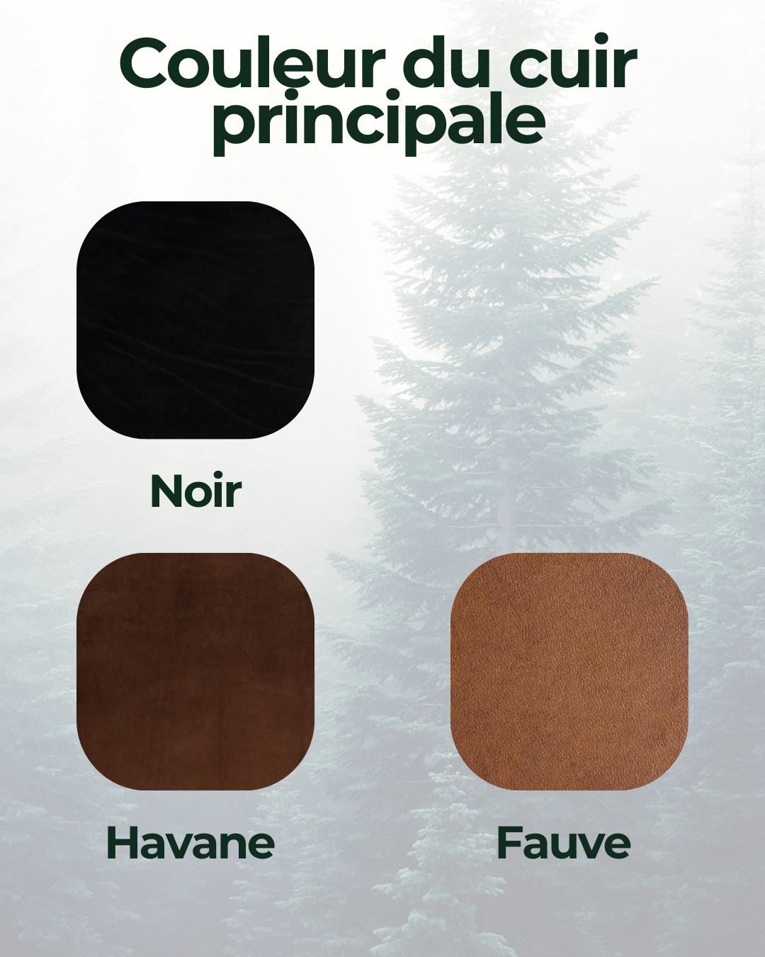 Collier martingale pour chien