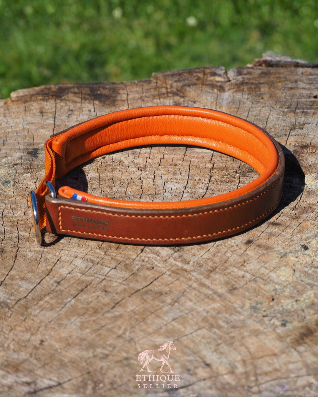 Collier martingale pour chien