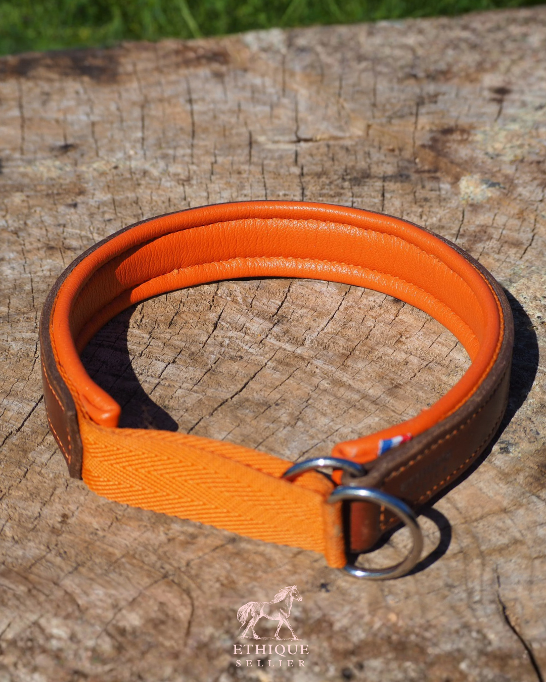 Collier martingale pour chien