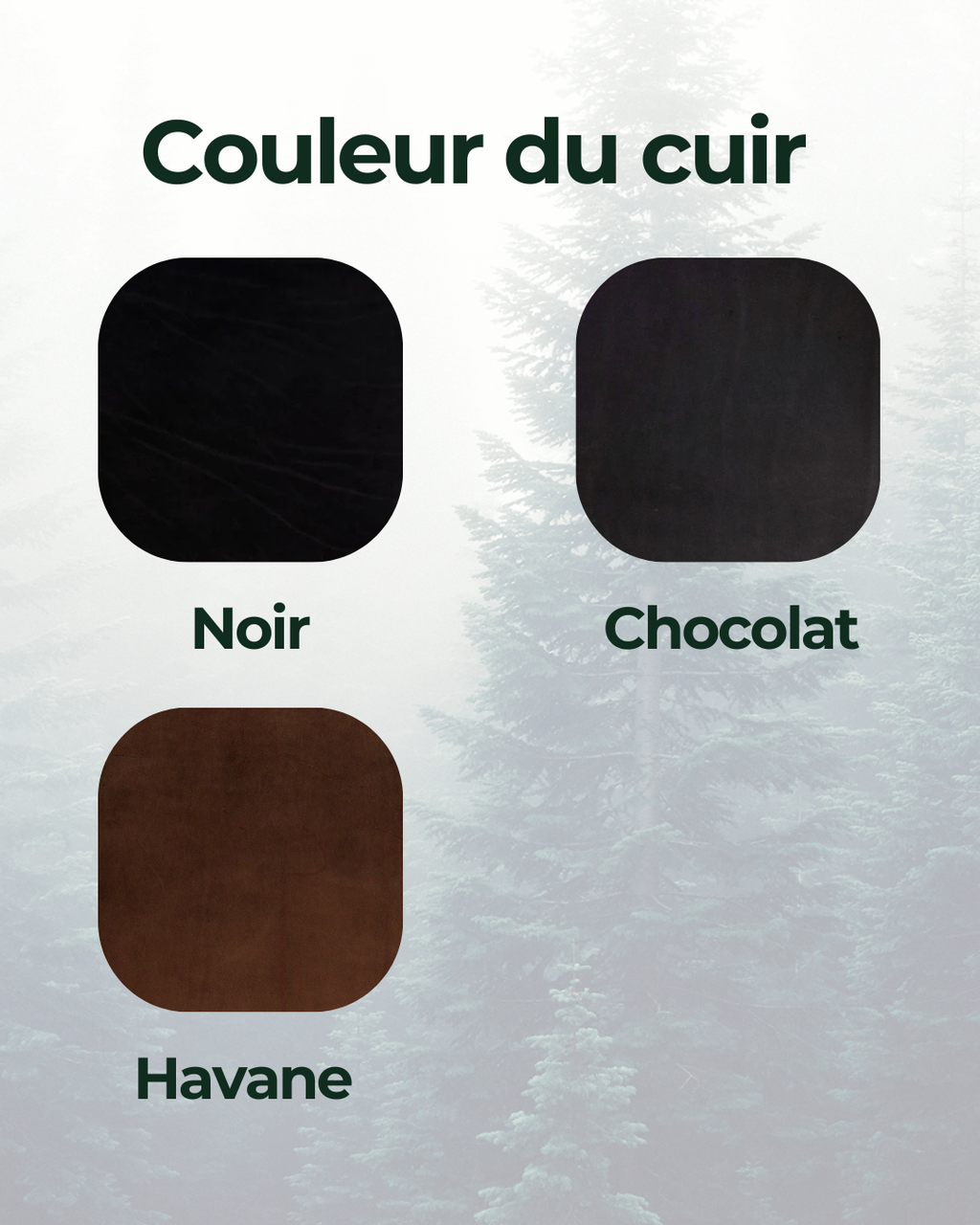 Harnais de bat