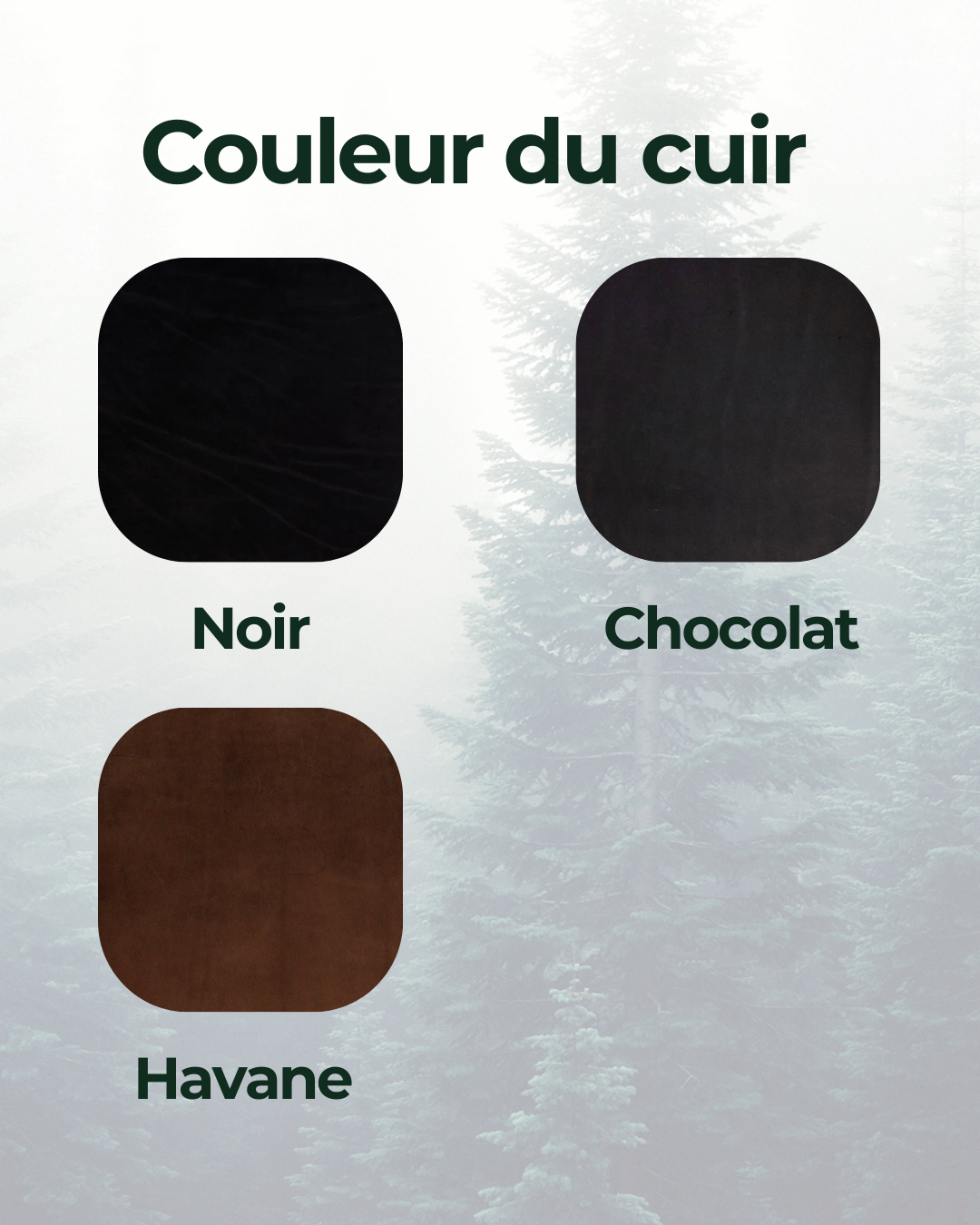 Harnais de bat